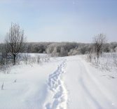 Настоящая зима в Соковнинке