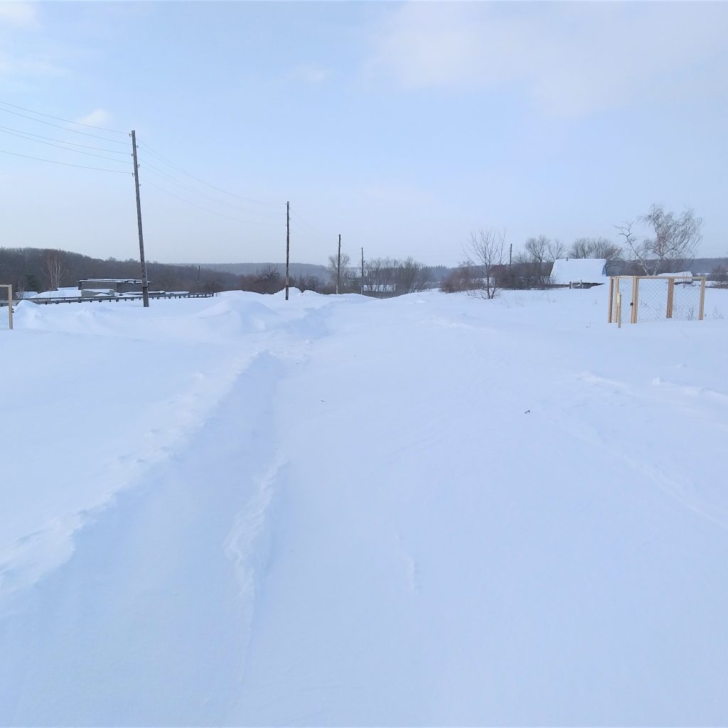 Настоящая зима в Соковнинке